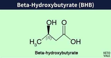 d beta hydroxybutyrate|β.